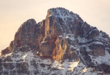 Herbs For High Blood Pressure: Discover Natural Remedies Today