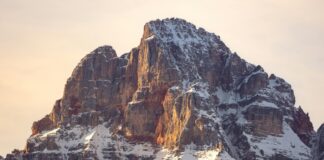 Herbs For High Blood Pressure: Discover Natural Remedies Today