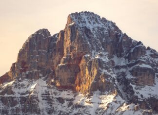 Herbs For High Blood Pressure: Discover Natural Remedies Today