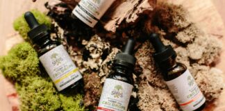 Adaptogenic Herbs: Unlock Your Natural Stress Relief Power