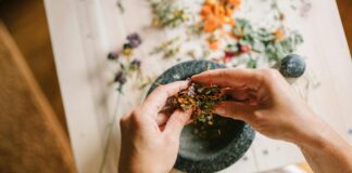 Wise Sounding Herb: Discover Its Secrets for Healing and Wellness