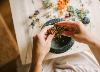 Wise Sounding Herb: Discover Its Secrets for Healing and Wellness