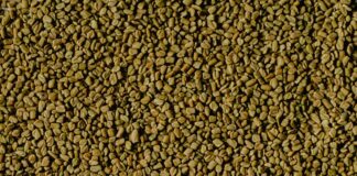 Herb Fenugreek: Unlock Its Amazing Health Benefits Today!