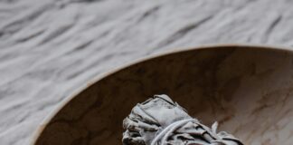 Wise Sounding Herb: Discover Its Secrets for Health and Wellness