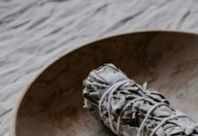 Dry Herb Vapes: Discover Why They Are a Game Changer Today