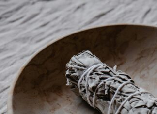 Dry Herb Vapes: Discover Why They Are a Game Changer Today