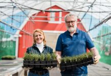 What Herbs Can Be Planted Together For a Thriving Garden?