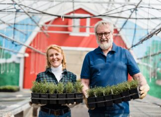 What Herbs Can Be Planted Together For a Thriving Garden?