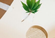 Herb & Wood: Discover Nature’s Secrets for Wellness and Style