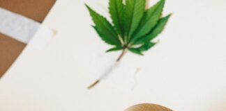 Herb & Wood: Discover Nature’s Secrets for Wellness and Style