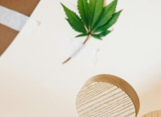 Herb & Wood: Discover Nature’s Secrets for Wellness and Style