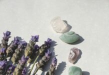 Penn Herb: Unlock Nature’s Secrets for Ultimate Wellness Today!