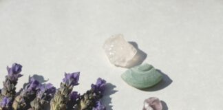 Penn Herb: Unlock Nature’s Secrets for Ultimate Wellness Today!