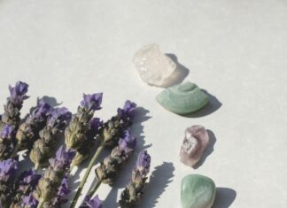 Penn Herb: Unlock Nature’s Secrets for Ultimate Wellness Today!