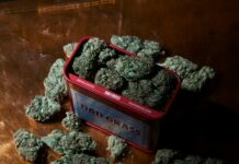 Green Compass CBD: Discover Powerful Benefits and Unique Uses