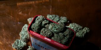 Green Compass CBD: Discover Powerful Benefits and Unique Uses