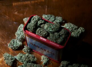 Green Compass CBD: Discover Powerful Benefits and Unique Uses