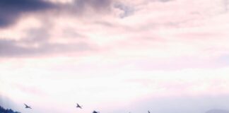 Sunset Lake CBD: Discover The Amazing Benefits You Can’t Miss