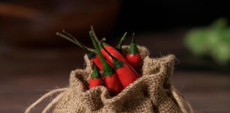 Herb Sack OSRS: Unlock Powerful Tips to Maximize Your Farming!