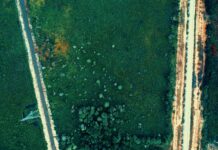 Green Roads CBD: Discover The Ultimate Benefits And Uses Today