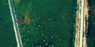 Green Roads CBD: Discover The Ultimate Benefits And Uses Today