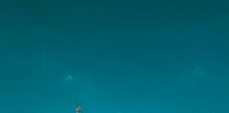 Hotels Cbd Sydney: Discover The Ultimate Stay Experience Today