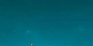 Hotels Cbd Sydney: Discover The Ultimate Stay Experience Today