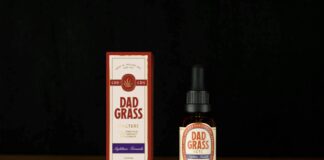 Cbn Vs Cbd: Which Powerful Cannabinoid Offers Better Benefits?