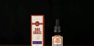 Cbn Vs Cbd: Which Powerful Cannabinoid Offers Better Benefits?