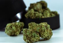 Plain Jane CBD: Discover The Surprising Benefits Of This Natural Remedy