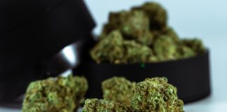 Plain Jane CBD: Discover The Surprising Benefits Of This Natural Remedy