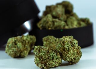 Plain Jane CBD: Discover The Surprising Benefits Of This Natural Remedy