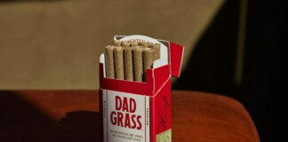 CBD Carts: Discover The Ultimate Guide To Premium Quality & Benefits Home