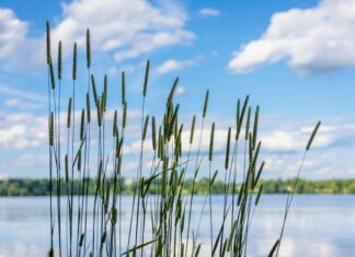 Herb Chambers Honda Westborough Massachusetts: Why Choose Us?