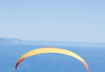 Juan’s Flying Burrito CBD: Discover The Ultimate Flavor Experience