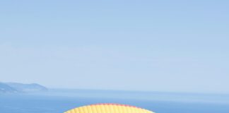 Juan’s Flying Burrito CBD: Discover The Ultimate Flavor Experience