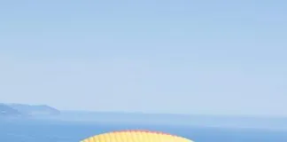 Juan’s Flying Burrito CBD: Discover The Ultimate Flavor Experience