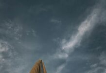 Best CBD Affordable Reddit Reviews: Discover Top Quality Deals Today