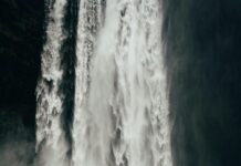 Titan Force Labs Male Enhancement CBD Gummies: Unlock Natural Power