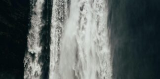 Titan Force Labs Male Enhancement CBD Gummies: Unlock Natural Power