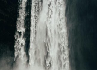 Titan Force Labs Male Enhancement CBD Gummies: Unlock Natural Power