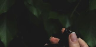 CBD Shampoo Benefits: Why You Need This Natural Hair Care Solution Home
