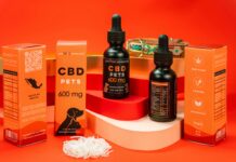 Best CBD For Dogs: Discover Safe, Effective Relief Options Today