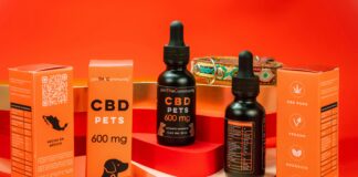 Best CBD For Dogs: Discover Safe, Effective Relief Options Today
