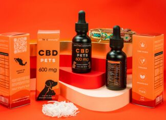 Best CBD For Dogs: Discover Safe, Effective Relief Options Today