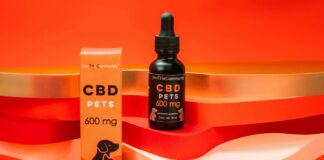 CBD Oil For Cats: Discover The Amazing Benefits And Uses