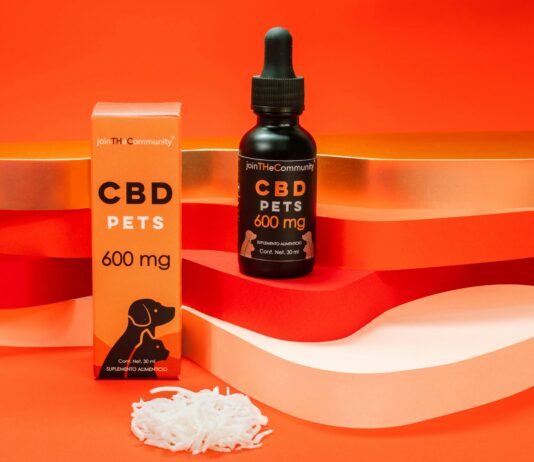 CBD Oil For Cats: Discover The Amazing Benefits And Uses