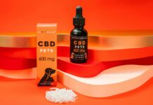 CBD Cat Treats: Discover How They Can Transform Your Cat’s Health