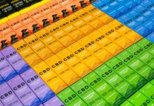 CBD For Dogs Near Me: Discover The Best Natural Relief Options