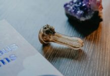 CBD Book Distributors: Discover Powerful Tips to Boost Your Sales